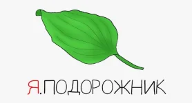 0.webp