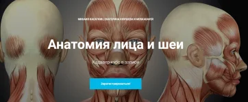 0.webp