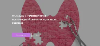 0.webp