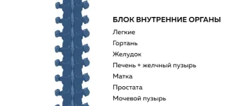 0.webp