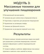 3.webp