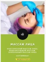 3.webp