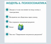 7.webp