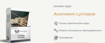 0.webp