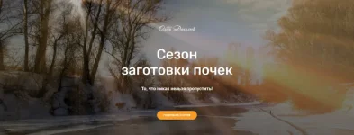 0.webp