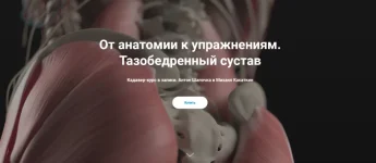 0.webp