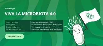 0.webp