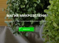 0.webp