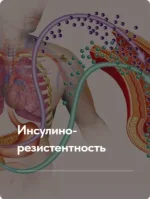 0.webp