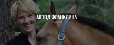 0.webp