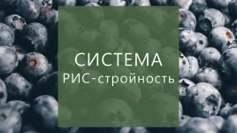 0.webp