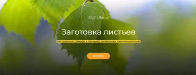 0.webp