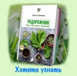 0.webp