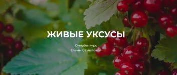 0.webp