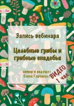 0.webp