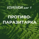 0.webp