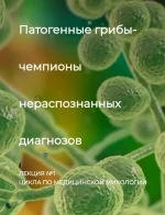 0.webp