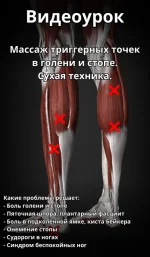 0.webp