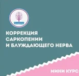 0.webp