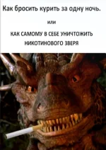 0.webp