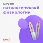 0.webp
