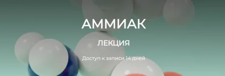 0.webp