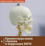 0.webp