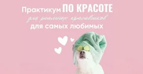 0.webp