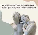 0.webp