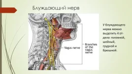 0.webp