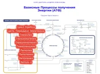 0.webp