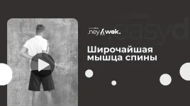 0.webp