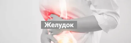 0.webp