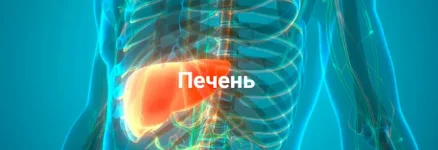 0.webp