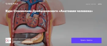 0.webp