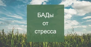0.webp