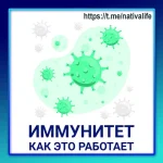 0.webp