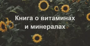 0.webp