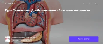 0.webp