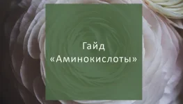 0.webp