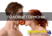 0.webp