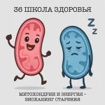 0.webp
