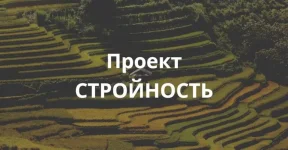 0.webp