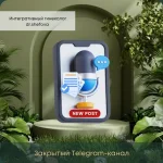 0.webp
