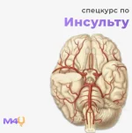 0.webp