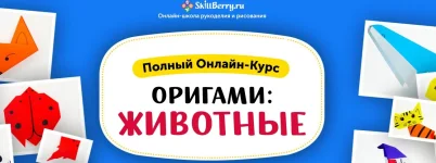 0.webp