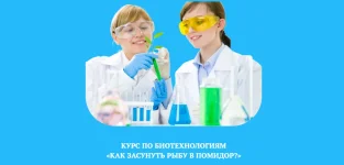0.webp