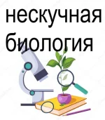 0.webp