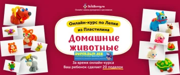 0.webp