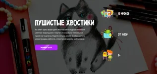 0.webp